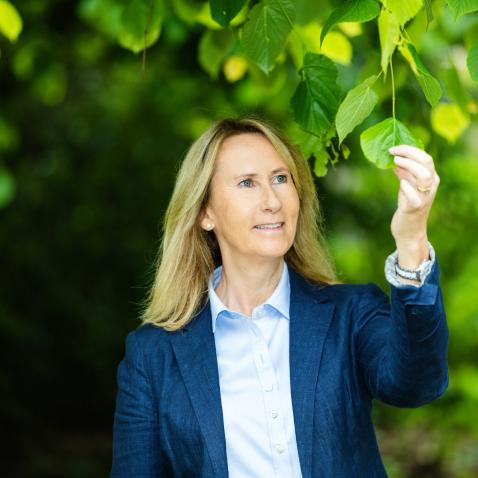 ScandinavianHealth