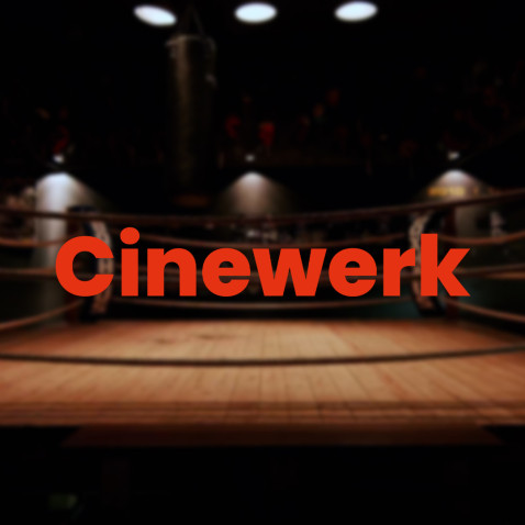 Cinewerk GmbH